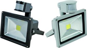 PIR 30W led floodlight with sensor IP65