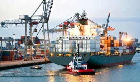 Cheap Premium Customs Declaration Service , China To USA Customs Clearance Services for sale