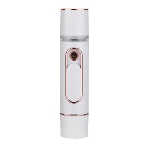 China Home Digital Skin Analyzer Portable Beauty Equipment Anti Wrinkle Rf Facial Beauty Device on sale