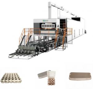 Best Full Automatic Fiber Moulding Machine 200KW Fruit Tray Production Line wholesale