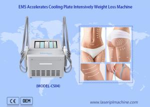 Best Ems Fat Reduce Cryo Plate Machine With 4 Cooling Pads wholesale