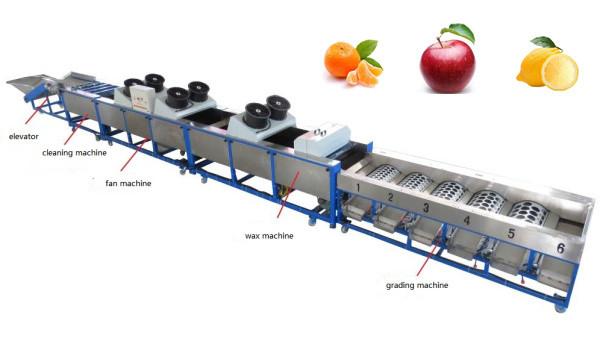 apple cleaning drying grading machine, apple sorting machine, lemon grading