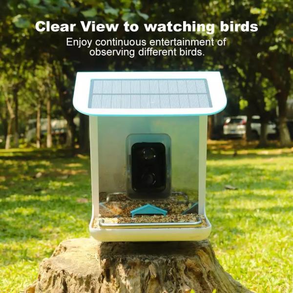 Cheap Intelligent Automatic Smart Bird Feeder Camera 130 Degrees 5200mA for sale