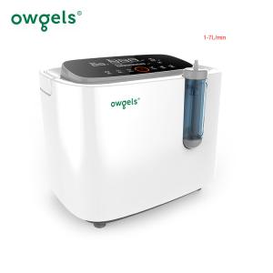 7L 96% Mini Portable Oxygen Generator Home Use OEM Service