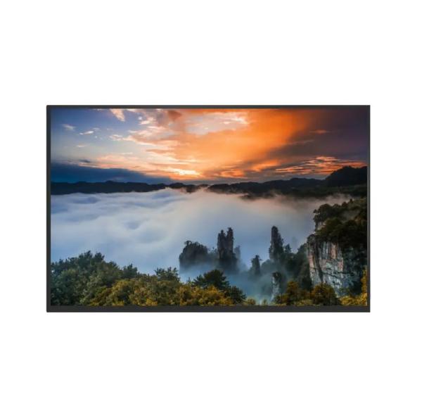 Cheap 1280*800 16.7M TFT LCD Displays EDP Interface 10.1inch LCD Screen for sale