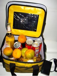 Cheap high quality multi-function solar cooler bag 4w for sale