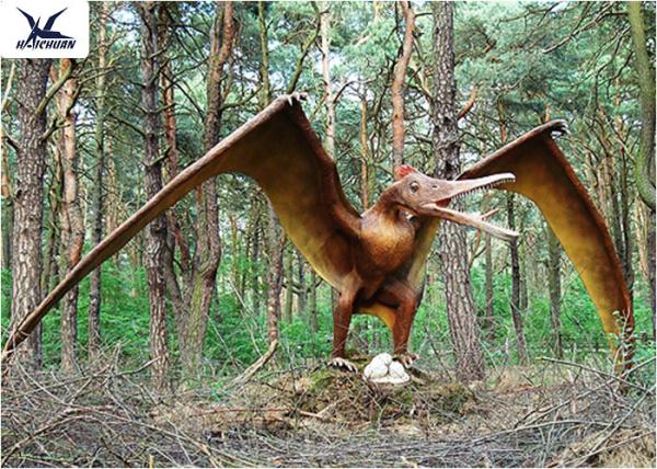 Cheap Handmade / Assembling Pterosaurs Realistic Dinosaur Models Width 5 Meters for sale