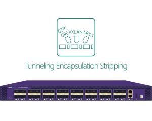 Best NPB Network Packet Sniffer GTP GRE PPTP L2TP PPPOE Tunneling Protocol Label Header Stripping wholesale