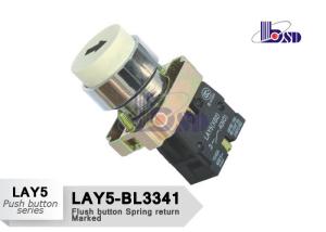 Best LAY5（XB2）-BL3341 white color spring return flat button push button swithes，Convex button Spring return， Marked wholesale