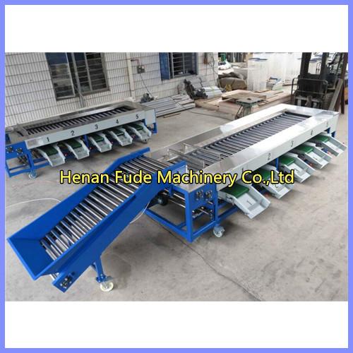 Cheap Mango sorting machine for sale