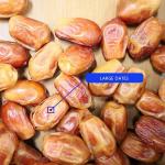 8-Lane Palm Dates Sorting Machine AI Deep Learning Size Sorting 2.0 Tons per
