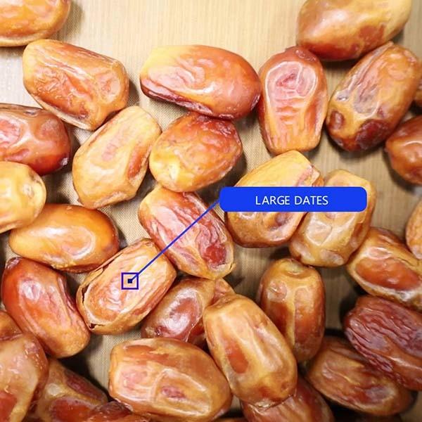 8-Lane Palm Dates Sorting Machine AI Deep Learning Size Sorting 2.0 Tons per