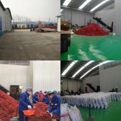 Neihuang Xinglong Agricultural Products Co. Ltd
