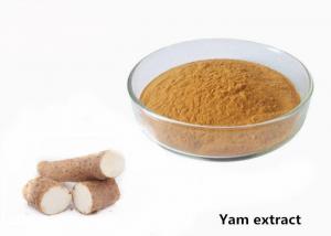 Best Anti Fatigue 1kg Natural Wild Yam Plant Extract Powder wholesale
