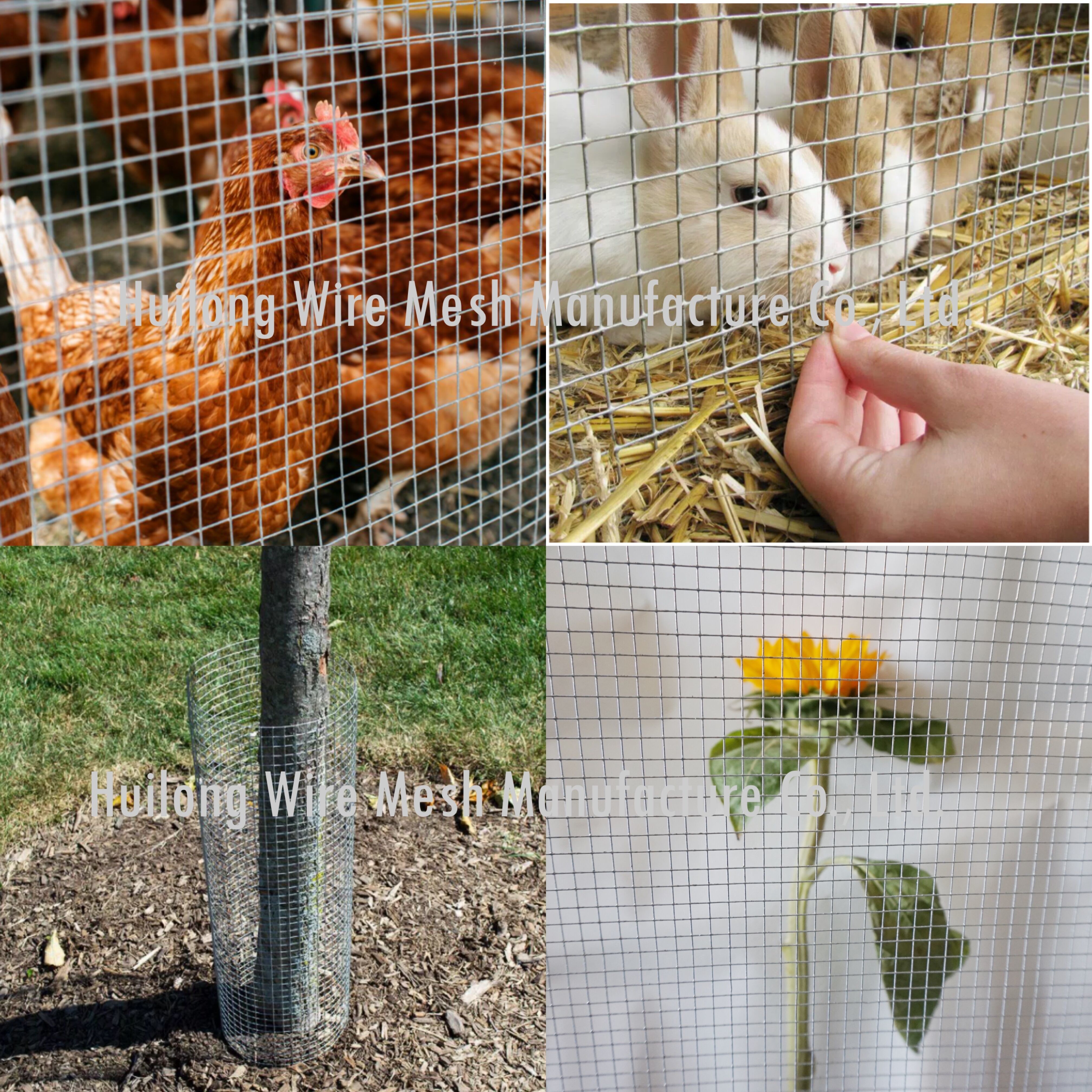 Green PVC Coated Wire Mesh Fencing Rolls 1x1 inch weather resistance