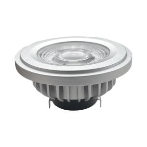 Best Teco Spot Rifle Gray G53 AR111 LED Bulbs 2700K 24 Degree Ra90 1400Lm Very Warm White Dimmable wholesale
