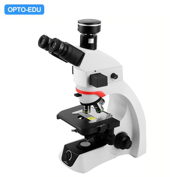 Cheap OPTO EDU A16.2263 BGUV Biological Laboratory Trinocular Fluorescent Microscope for sale