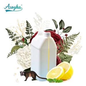 Best Electric Scent Diffuser Use Natural Plant Oils / 100 Pure Essential Oils wholesale