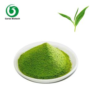 Best Natural Organic Certificated Flavor Matcha Green Tea Powder  Free Sample wholesale