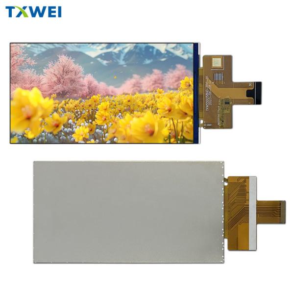 Cheap 5.5-inch Vertical High-definition Display Panel 720 * 1280 IPS LCD Display Module MIPI Interface for sale