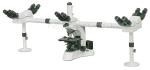 Binocular Multi Viewing Microscope EW10×/ 20 With Halogen Lamp