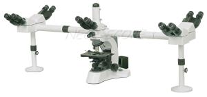Best Binocular Multi Viewing Microscope EW10×/ 20 With Halogen Lamp wholesale
