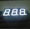 Best 14.2mm Common Anode 7 Segment Display Green 37.6 x 19mm Outer dimension Long Life wholesale