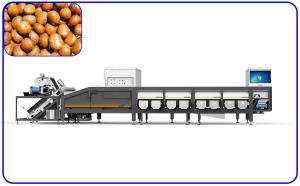 Best Breakage Grading Sorting Machine wholesale