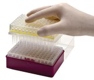 Cheap Lab Consumable PCR Pipette Tips Disposable Micropipette Tips 10-1250μL for sale