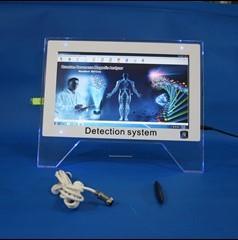 Cheap Clinic Quantum Touch Screen Test Machine , Hospital Quantum Body Analyzer Machines for sale
