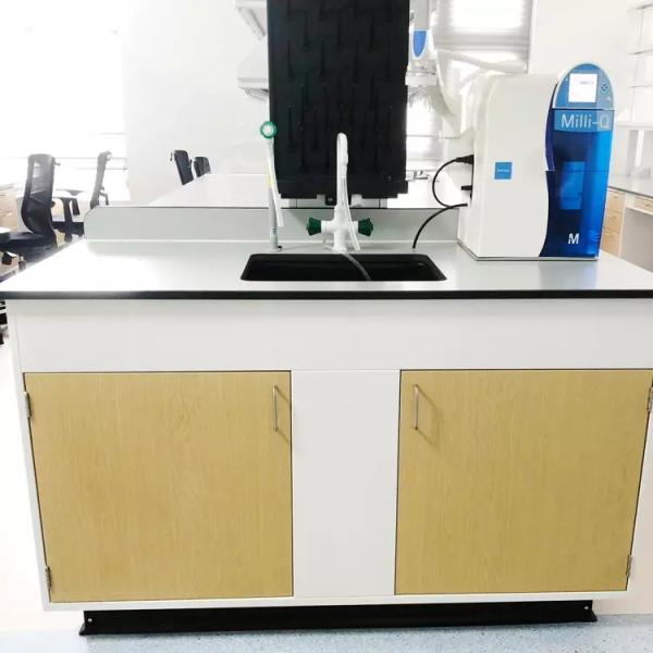 Cheap Biologic Laboratory Work Benches Adjustable Lab Bench Science Lab Work Bench Table for sale