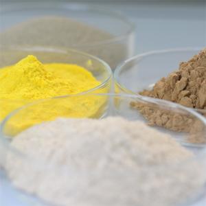 Maximize Your Food Processing Potential with Food Grade Enzymes PH Range 4.5-9.0