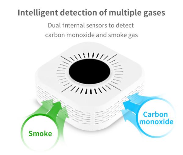 Cheap Home Gas Alarm High Sensitivity Carbon Monoxide Sensor Smoke And CO Alarm for sale