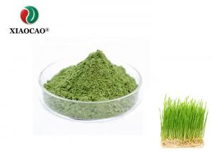 China 99% Organic Oat Grass Powder , Pharmaceutical Grade Oat Fiber Powder on sale