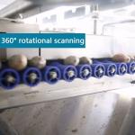 380V 7kW 8 Channels CE Endorsed Pecan Sorting Machine 1-2 Tons Output
