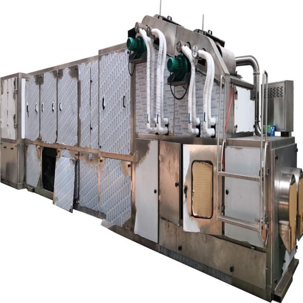 Cheap Automatic 304 Ss Chocolate Bean Machine Plc Control for sale