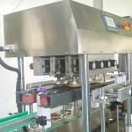 Motor-Driven Pneumatic Bottle Capping Machine for Customized Capping Application