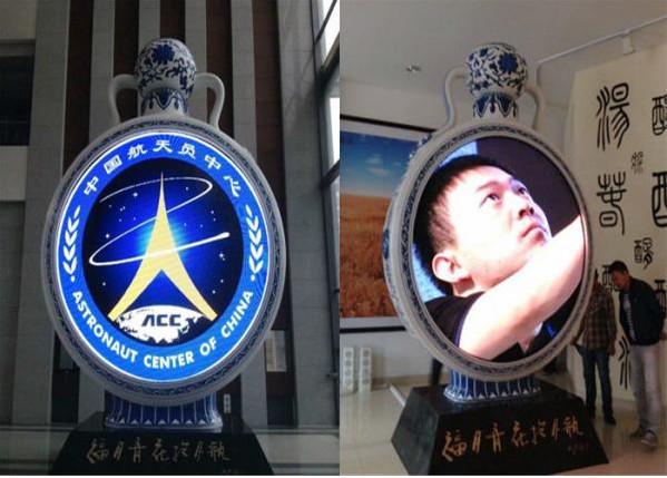 Cheap Soft Flexible DIY LED Display Modules Multi Color 3D P6.6 / P8 / P10 10000 dots / ㎡ for sale