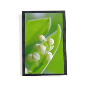 Best 7 Inch High Brightness LCD Display 2000nits 40 Pin MIPI Interface IPS TFT LCD Module wholesale