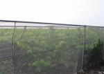 Smart Industrial Netting Systems Overhead Crop Netting ISO9001 Approved