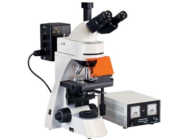 Cheap Wide View Field L3001 Epifluorescent Microscope With Transmitted Field Observation for sale