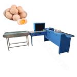 Chicken Egg Sorting Machine Egg Size Sorting Machine Basic Egg Sorting Machine