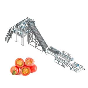 Best Automatic Tomato Processing Line For Paste Making 110V wholesale