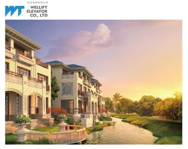 Cheap Machine Roomless Residential Home Elevators VVVF Control With PM Gearless Drive for sale