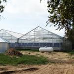 Venlo Commercial Multi Span Steel Structure Polycarbonate Sheet Greenhouse