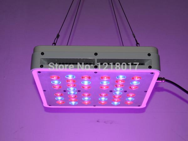 Cheap Popular AC85-265V 5w High quality 200watt CIDLY LED Full Spectrum Led Grow Light For Seed for sale