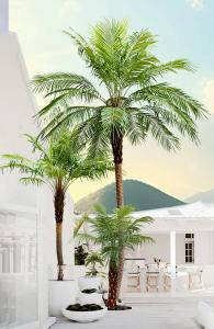 China Nordic Retro Bionic Tropical Phoenix Palm Tree Floor Green Hotel Decor on sale