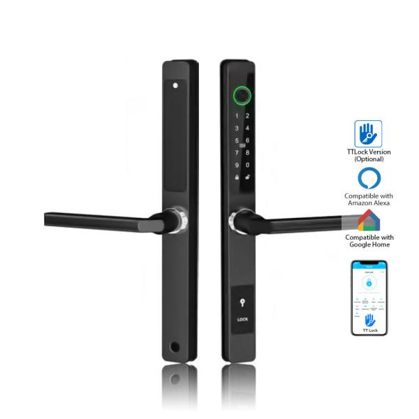 Cheap Waterproof IP65 Fingerprint Door Lock for Hotel with TTLock Software and IC Card Wireless Door Lock for sale