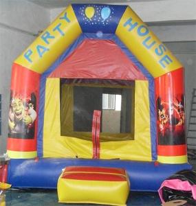 China Commercial Use Party Theme Kids Inflatable Bouncy Castle Inflatable Castle on sale