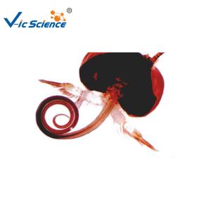 Best Laboratory Educational 15pcs Microscope Glass Slides wholesale
